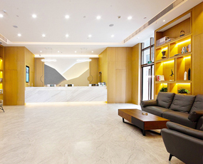 酒店公区家具 FYJDQ-05